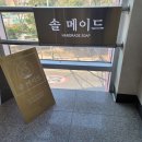 삼환나우빌(아) 이미지