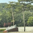 화수목 관광농원 | 강원도 숙소추천! 횡성 리조트/콘도 추천! 뷰 맛집! ‘웰리힐리파크’