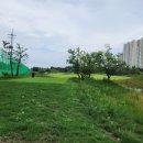 파인파크 AT 군산파3 507 이미지