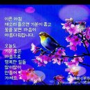 행복한아침 이미지