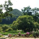 별동산달빛아래 이미지