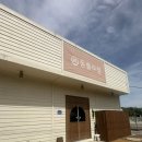 천안아산 온수 키즈풀 파티룸 공간대여 동틀무렵 내돈내산 후기 천안 아이랑 물놀이