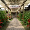 고구려민속촌 이미지