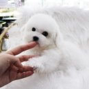 호야트레이드 이미지