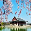 문화유산체험학습지도사 이미지