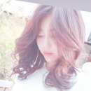 파스타스토리 이미지