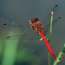 흰구름 맑은달 이미지