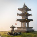 행림서원 | 청주 화림사(花林寺): 역사와 문화의 향기