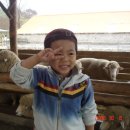 대윤목장 이미지