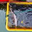 아쿠아 좌대낚시터 이미지