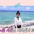 아이브래쉬 네이버블로그