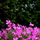 초당낚시터 이미지