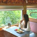 해랑하우스 | 해랑열차 여행 전국 기차여행 겨울 국내여행 추천 2인 가격