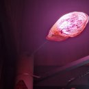 리치봉 | 김솔음 체험을 했고 김솔음은 쫄보가 아니다.(괴담출근 전시회 &amp; 팝업)