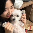 큐유흥주점 이미지