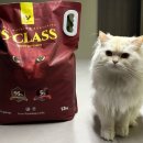 그루밍S | S-CLASS 브라운 벤토나이트 13kg 가성비 고양이 모래 후기