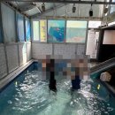 파인피노펜션 이미지