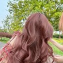 딸기미용실 - 함평군 | 딸기미용실