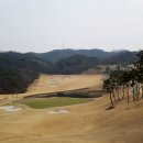 그린휴 이미지