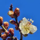 김해건설공업고등학교 이미지