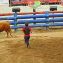 청도소싸움경기장 이미지