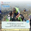 용신어촌체험휴양마을 이미지