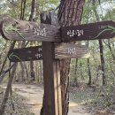 황방산 맨발걷기 이미지