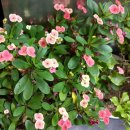 강남태평양약국 이미지