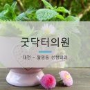 굿닥터의원 네이버블로그
