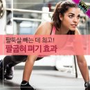 🍀 팔뚝살 빼 데 최고!!! 팔굽혀 펴기 효과 🍀 이미지