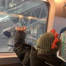 완산-79 | 아이랑 단둘이 전주 1일차 (전주동물원,풍남피순대,완산벙커 더 스페이스,숙소 비하녹,남부시장 야시장)