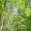 바라산자연휴양림 이미지