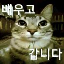 아동 독서 지도자 과정(입문편) | 동국대학교 글로벌무역학과 1학년 재학 후기 ✎𓂃⋆·˚ ༘