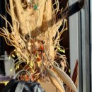 카렌시아 이미지