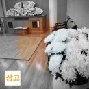 분당제생병원장례식장매점
