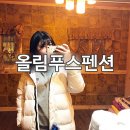 올림푸스펜션 이미지