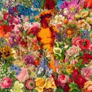 처연의 소리 이미지