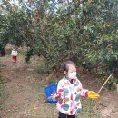 석동농장 이미지