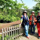 정모 카카오 검색결과