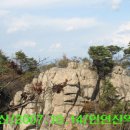 유림-1051 이미지