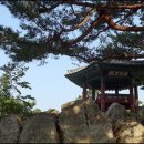삼천궁녀 이미지