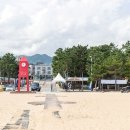 강원도 동해시 가볼만한곳 망상해수욕장 주차 입장료 초여름 바다 여행 꿀팁 이미지
