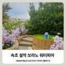 호수로커피 | 속초, 설악 쏘라노 워터피아 나이트스파! 아들 둘과 평일 급 다녀온 찐 후기 (아이와 가볼만한 곳)