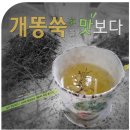 큰형네건강즙