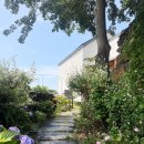 샤인히얼60 이미지