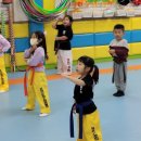 대한태권도 2관 | 장곡초태권도 안전과 재미를 동시에! 장곡동 태권도 체험 후기
