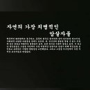 자연의 가장 치명적인 암살자들 이미지