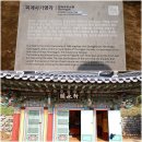 팔공산농산 | {대구시 동구} 팔공산단풍실시간정보 // 대한불교조계종 팔공산 파계사 가을풍경