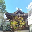 세븐일레븐 강진청자점 | 초록믿음강진팝업 최대 50% 할인으로 강진 농산물 구매 가능한 6월 북촌팝업