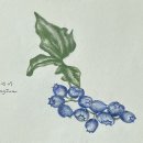 펜드로잉 이미지